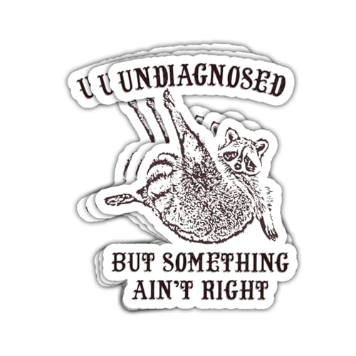 3 calcomanías divertidas sin diagnosticar pero algo no es correcto, regalo de panda de mapache sin diagnosticar, pero algo es definitivamente incorrecto, calcomanías sarcásticas para laptop, botella,