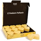 Duft-Fondant für Brenner, Duftwachs für Brenner, Vanilleduft, ideal für Teelicht, Duftbrenner und elektrische Brenner, 12 Stück