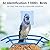 KEEPYOO 2.5K Bird Feeder with Camera, Wildlife Video Recording Feeder for Outdoor, Non-Subscription Free Bird Identification with Solar Panel & 32GB Card, Ideal Gift for Nature Lovers (Brown)
