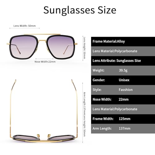 Image of Polarized Sunglasses for Men Women Vintage UV400 Classic Iron-Inspired Hero Style Pilot Sunglasses