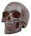 WORLD WAR RUSTED SKULL STATUE SKELETON FIGURINE 7" LONG HUMAN HEAD