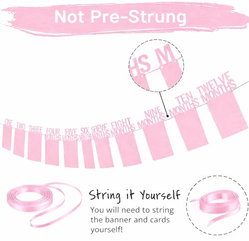 Image of Velunza Baby Monthly Photo Banner Pink First Year Milestone Photo Banner Newborn to Twelve Months Baby Photo Display for Baby Shower First Birthday Decoration - 13 Cards