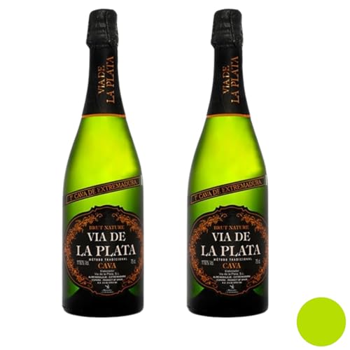 Cava Via Plata Brut Nature - Mejor Cava 2023 - Vino Espumoso Seco - 750ml - Notas Cítricas y Florales - Ideal para Celebraciones y Maridajes - Pack 2 Botellas