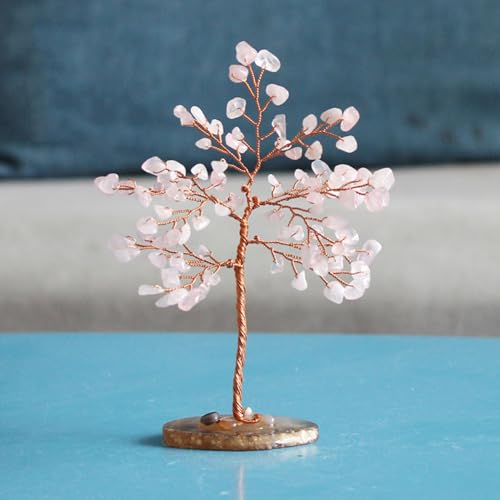 VR VR  NX^c[  [YNH[c AWXg Vg  N ^Abv J^ CeA u ^   蕨 v[g    