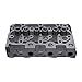 D1402 Complete Cylinder Head w/Valves Gaksets for Kubota Scat Trak Bobcat OEM: 1552103044,1552103040