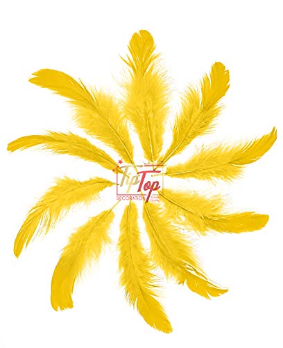 Image of TIPTOP DECORATION Natural Dyed Feathers 10 cm (80 pieces) (Dark Yellow)