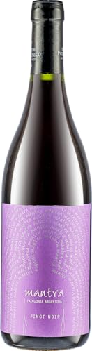 Bodega Secreto Patagonico, Mantra Rebel Pinot Noir 2023, 750 ml, Pinot Nero con Note Floreali e Fruttate, Vino Rosso con Sfumature di Frutti Rossi e Minerali, Ideale per Piatti di Carne, 13% Vol.