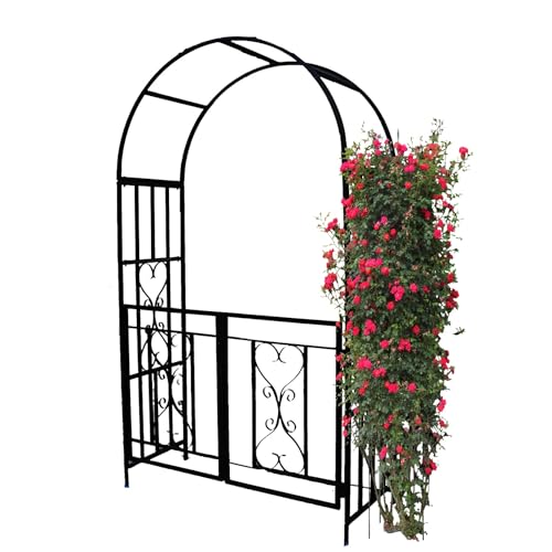 Arches décoratives pour fêtes pour tuteurer vos plantes grimpantes sur le patio