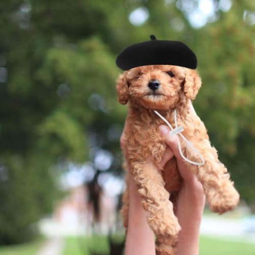 Gorra Beret para Perros Pequeños, Ajustable y Ligera miniatura 5