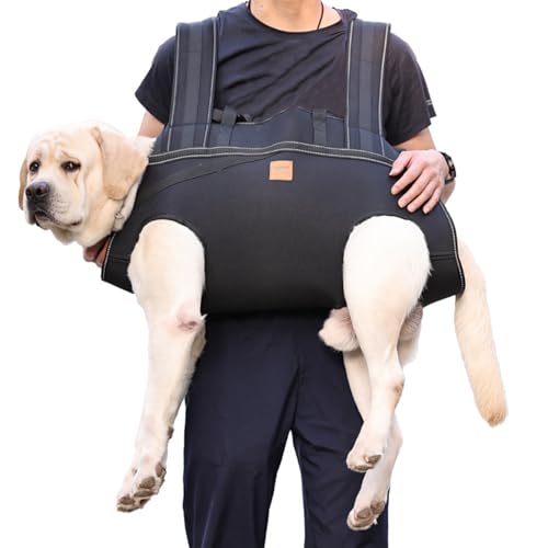 Arnés de elevación para perros de cuerpo completo que ayuda a cuidar a perros mayores 3