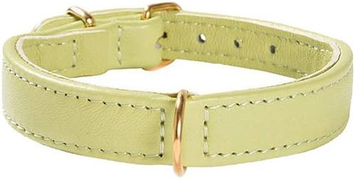 Bobby Evasion Collar, Size 45, Green