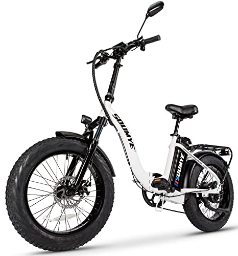 Soumye 48V Foldable EBike