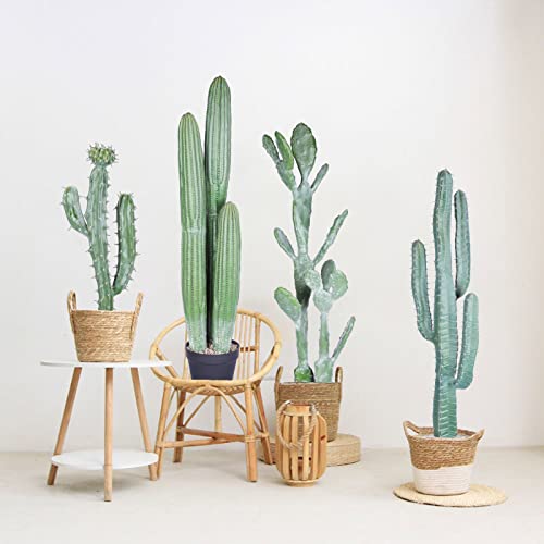 Ruwenus RUW71718 Artificial Cactus 3Ft(36") Tall Fake Big Cactus Plants Faux Cacti Saguaro thumb #3