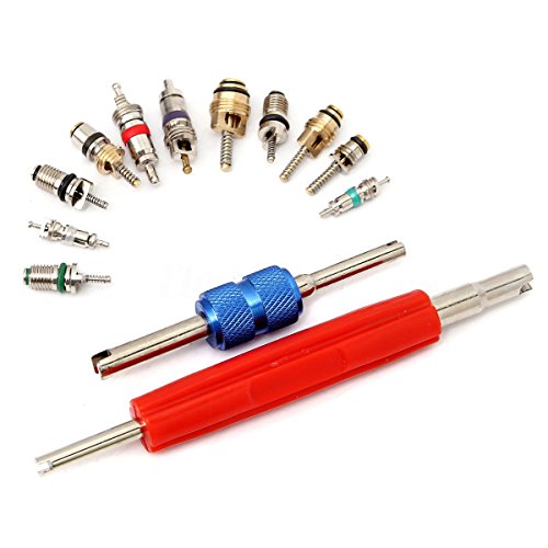 Esumic Car Air Conditioning Core Valves 102Pcs,R12 R134A Automotive A/C Valve Stem Cores W/ Removal Tool For Car Air Contitionaing Repair #TOP2