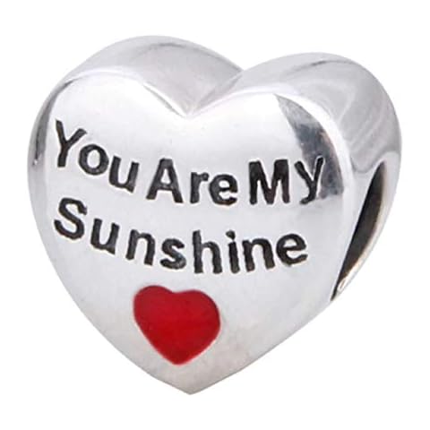 EVESCITY You are My Sunshine Heart 925 Sterling Silver Beads for Charm Bracelets Best Jewelry Gifts for Her Holiday Women Family Daughter Wife BFF Anniversary Birthday Cover