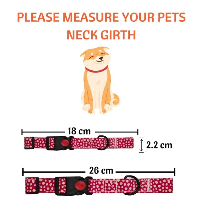 Image of Emily Pets Dog Collar with Safety Locking Buckle, Adjustable Soft Breathable Comfortable Nylon Pet Collar for Small, Medium Dog and Puppy (Color May Vary)