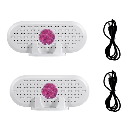 Bortivier 2 Deshumidificadores Pequeños para Armarios, Miniabsorbentes, Deshumidificadores Portátiles para Interiores para Espacios Cerrados, Gabinetes y Armarios