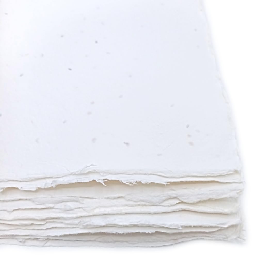 Fogli A4 in Carta Piantabile Fatta a Mano, con Bordi irregolari, 21x29,7cm, 250 g/m2, Confezione da 10, per inviti, biglietti, partecipazioni, Made in Italy (Con Semi di Lavanda)