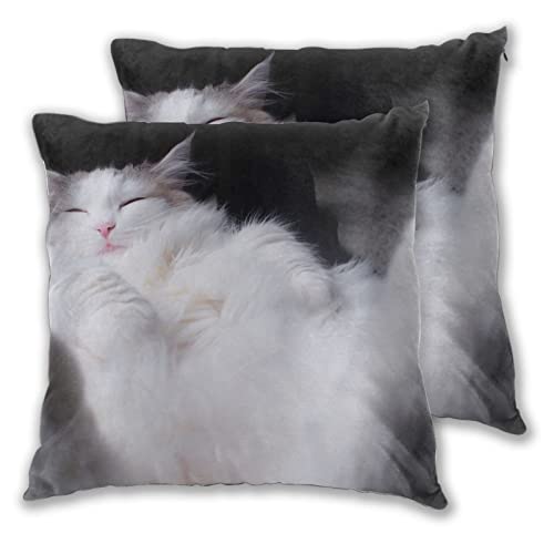 クッションカバー 2点セット ノルウェージャンフォレストキャット ネコ 転ぶ 猫柄 キュート 45×45cm 抱き枕カバー 柔らかい かわいい おしゃれ ソファ背当て 部屋 雑貨 家庭用 オフィス ホテル用 車用 座布団カバー インテリア飾り
