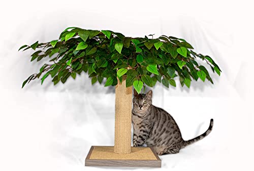 Rascador para Gatos Decorativo en Forma de Árbol Midlee miniatura 2