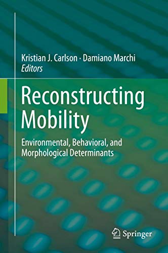 Reconstructing Mobility view 2