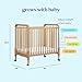 Davinci Jenny Lind 3-in-1 Convertible Mini Crib in Honey, Removable Wheels, Greenguard Gold Certified