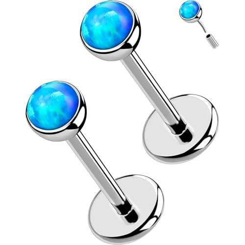 OUFER 2PCS 16G/20G Nose Lip Studs, G23 Solid Titanium Threadless Push in Nose Nostril Lip Labret Medusa Monroe Helix Cartilage Tragus Conch Lobe Piercing Jewelry for Women Men Silver bar,Blu