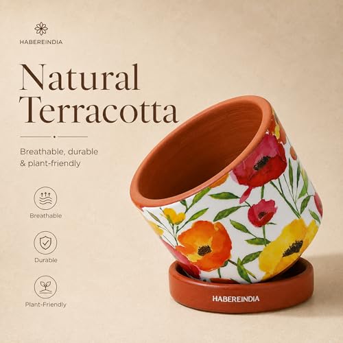 Image of Habere India-All the Cultures Fabricating India Floral Poppy Print Terracotta Planter with Saucer | Hand Painted Indoor Plant Pot | Breathable Clay Pot with Drainage Hole (Multi: L11 x W11 x H10 cm)