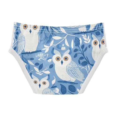 KLL Owl Blue Little Boys Pure Cotton Underwear Briefs Breathable Children Undies2