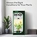 VIVOSUN Grow Tent Kit, 2 × 2ft 1-Plant System, WiFi-Controlled Grow System with Full Spectrum LED Grow Light, Automatic Ventilation, GrowHub Outlet A22 with Temperature and Humidity Sensor