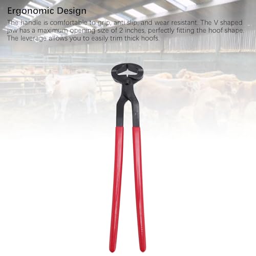 Aço Inoxidável Nipper, Mandíbula Em Forma de V para Corte de Casca de Cavalo de Ovelha de Gado Com A