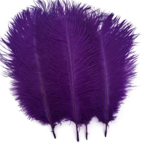 Shekyeon Purple 10-12inch 25-30cm Ostrich Feather Home Decoration DIY Craft Pack of 10 Shekyeon Purple 10-12inch 25-30cm Ostrich Feather Home Decoration DIY Craft Pack of 10