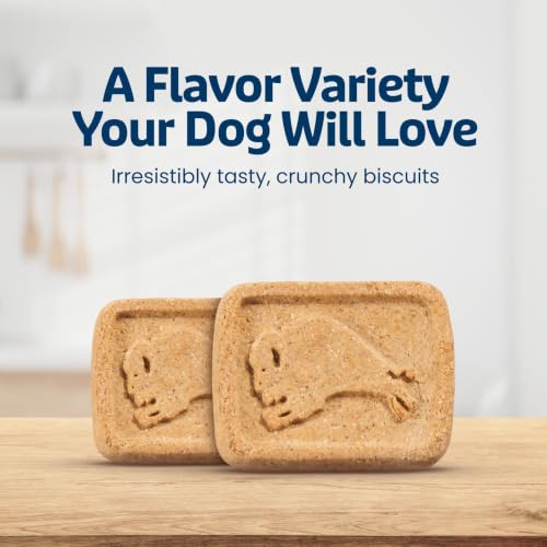 Image of Blue Buffalo Health Bars Dog Biscuits Variety Pack (Bacon Egg Cheese, Apples & Yogurt, Pumpkin & Cinnamon) Healthy Dog Treats with No Artificial Flavors or Preservatives, 16 oz. Each (3 Bags)
