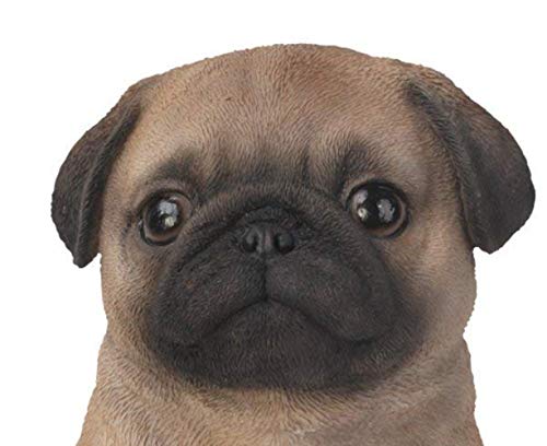 Pug Puppy Pet Pal by Vivid Arts - Brown with black accents