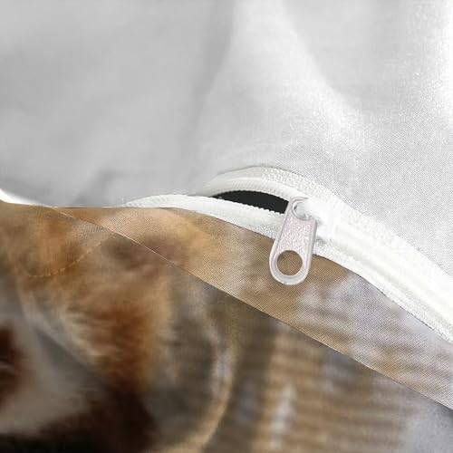 Housse de couette imprimé 3D raton laveur en microfibre avec fermeture - 5