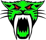 Vinyl USA Arctic Cat Logo Sticker 4