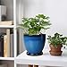 EPFamily Ceramic Planters for Indoor Plants - 6.8 Inch Plant Pot with Drainage Hole and Saucer Round Modern Planter Home Garden Patio Decor Blue