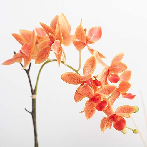 Ensemble de fleurs artificielles orchidée pour décorer buffet