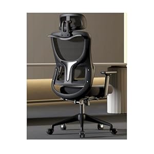RONGSHEN Ergonomischer Bürostuhl mit atmungsaktivem Netz