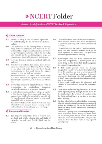 Image of ARIHANT ALL IN ONE CBSE EXPLORATION SCIENCE CLASS 9 FOR 2027 EXAMS -ALLSCI9
