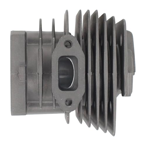 Kolben Zylinder Dichtsatz 38mm Zylinderkolben Dichtungssatz mit Kolbenring Kolbenbolzen Sicherungsclips Simmerringe Auspuffdichtung Zylinderfußdichtung für Stihl FS 220 FS 180 FS 160 Motorsense