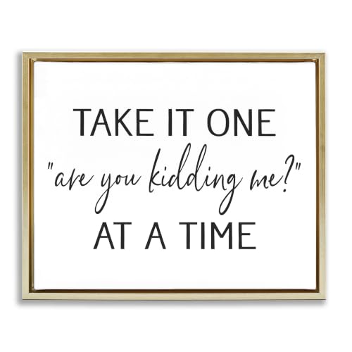 Humorous Casual Quote, 16 x 20 Inch Canvas in Floater Frame