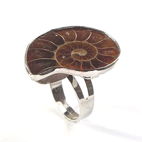 Generic - Newwyt Bague réglable unique tendance en ammonite naturelle avec reliques, bague en coquille fossile naturelle pour femme, adolescente, escargot fossile naturel