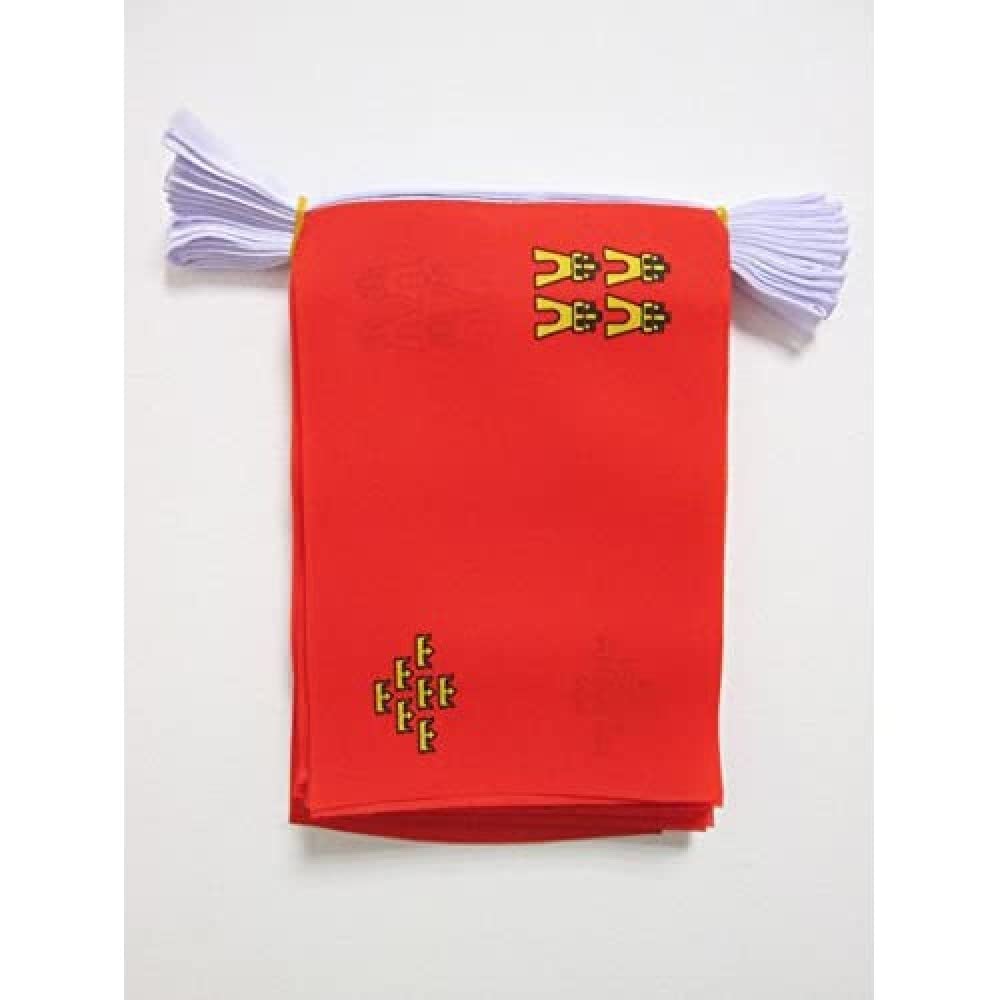 AZ FLAG Murcia Bunting 20 ft 20 flags Light Polyester