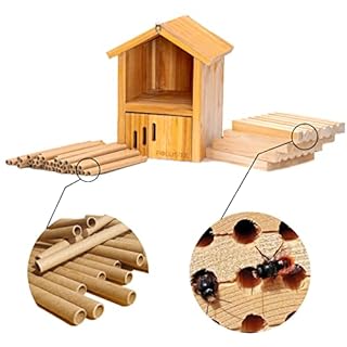 POLLIBEE Mason Bee House -Wax Coated Mason House for The Garden, Natural Handmade Wooden Waterproof Mason Home, Attracts Peaceful Bee Pollinators,Native Mason Bee Habitat