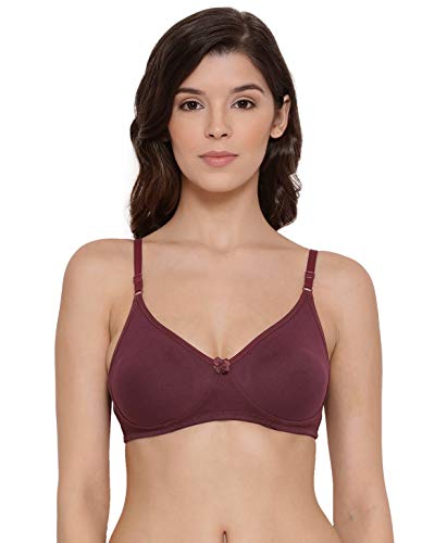 Image of Lyra Women's Cotton Non-Wired Bra