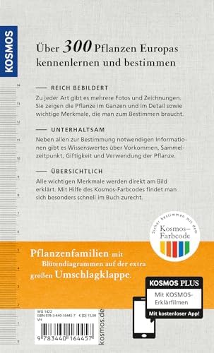 Welche essbare Wildpflanze ist das?