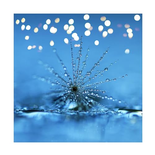 Trademark Fine Art 'Tiny Wishes' Canvas Art by Beata Czyzowska