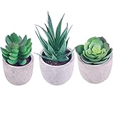 💖【Embalaje de suculentas】 3 plantas de balcón suculentas de imitación con macetas de baño para un fácil cuidado. Los colores vibrantes y el follaje y las flores realistas dan vida a estas plantas.