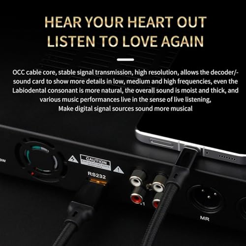 Câble USB TypeC HiFi anti-interférence pour son numérique pur 1m